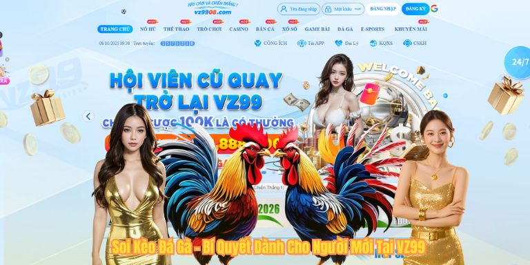 Soi Kèo Đá Gà – Bí Quyết Dành Cho Người Mới Tại VZ99 Soi Kèo Đá Gà – Bí Quyết Dành Cho Người Mới Tại VZ99
